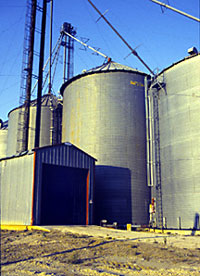 Photo of grain bin