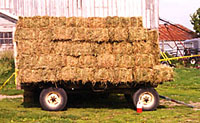 Photo of the hay wagon