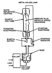 Diagram of lightbulb in metal halide lamp